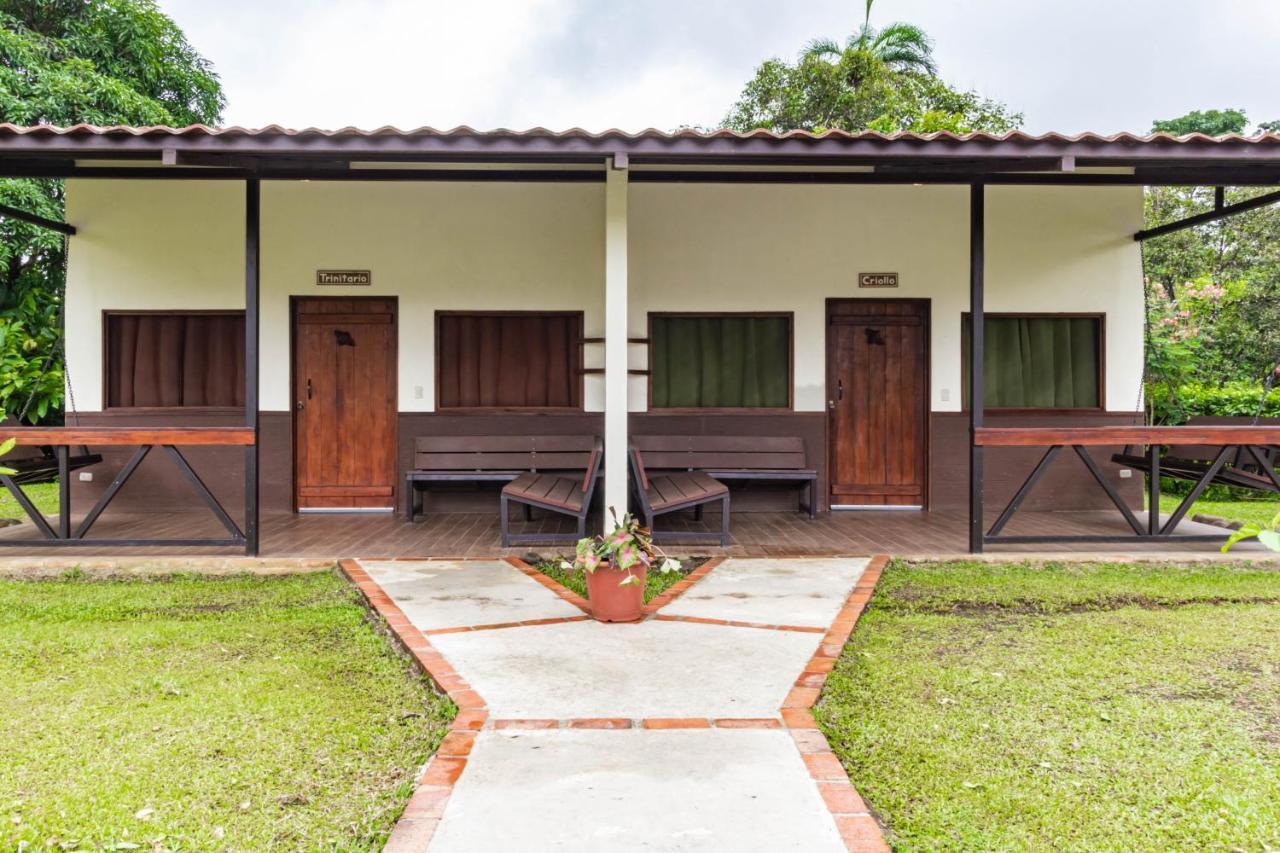 La Anita Rain Forest Colonia Dos Ríos Екстериор снимка