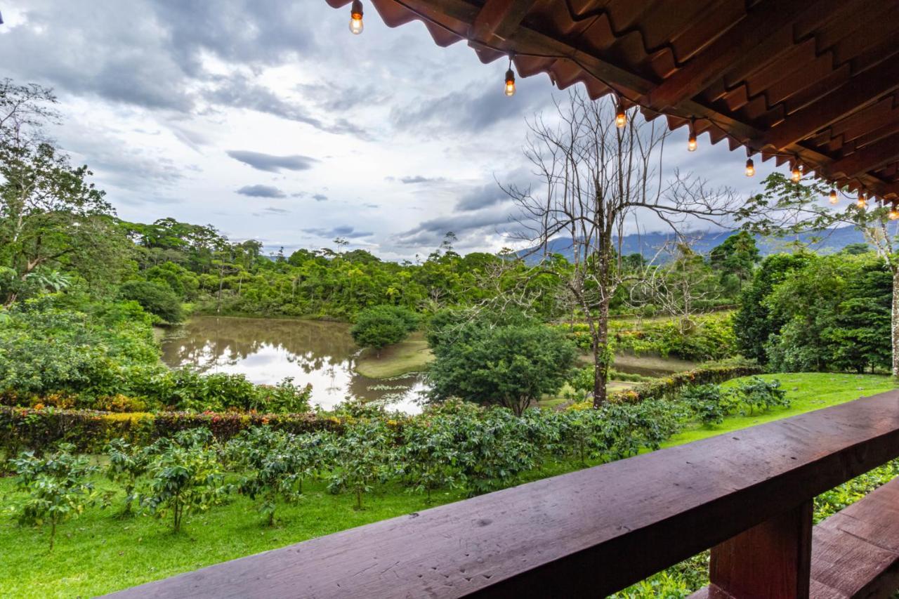 La Anita Rain Forest Colonia Dos Ríos Екстериор снимка