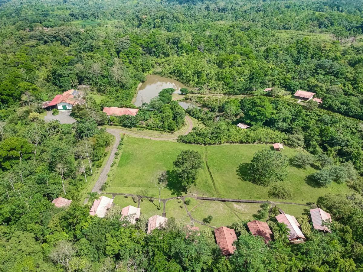 La Anita Rain Forest Colonia Dos Ríos Екстериор снимка