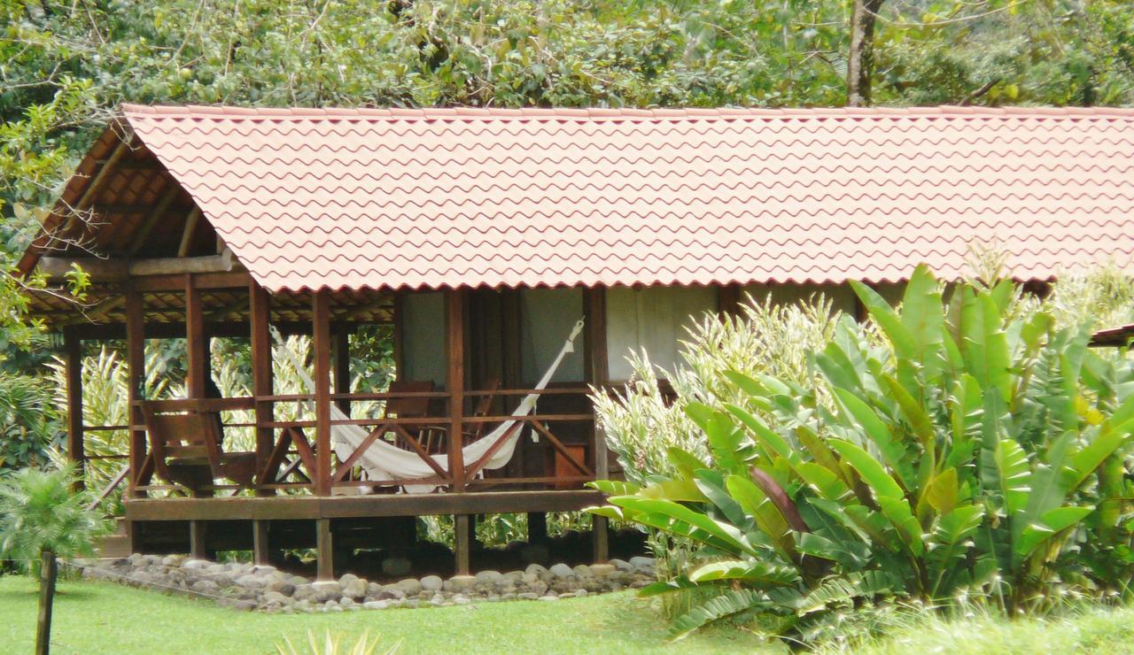 La Anita Rain Forest Colonia Dos Ríos Екстериор снимка