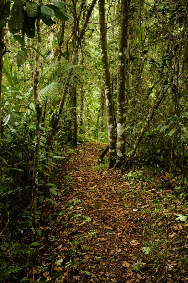 La Anita Rain Forest Colonia Dos Ríos Екстериор снимка