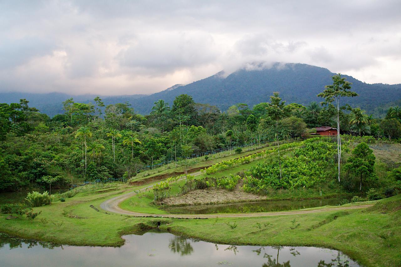 La Anita Rain Forest Colonia Dos Ríos Екстериор снимка