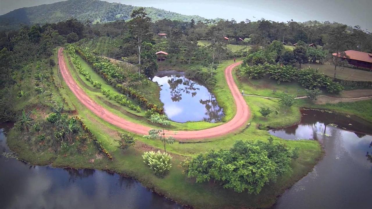 La Anita Rain Forest Colonia Dos Ríos Екстериор снимка