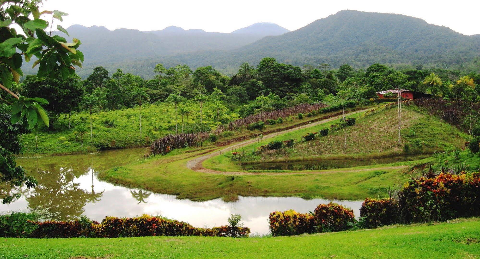 La Anita Rain Forest Colonia Dos Ríos Екстериор снимка